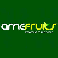 Amefruits