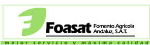 Foasat